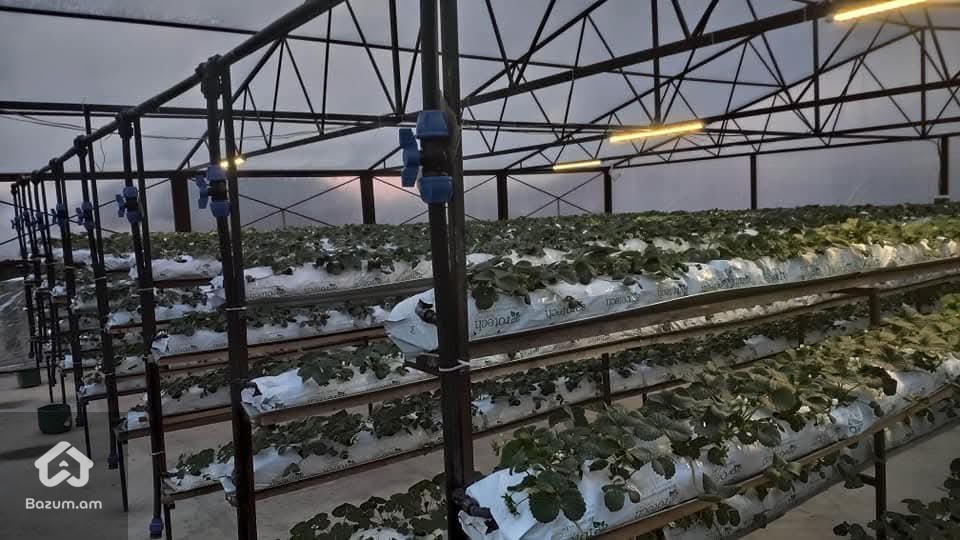  վերանորոգված 5 սենյականոց առանձնատուն Կոտայքի մարզի Զորավան գյուղում - image 9