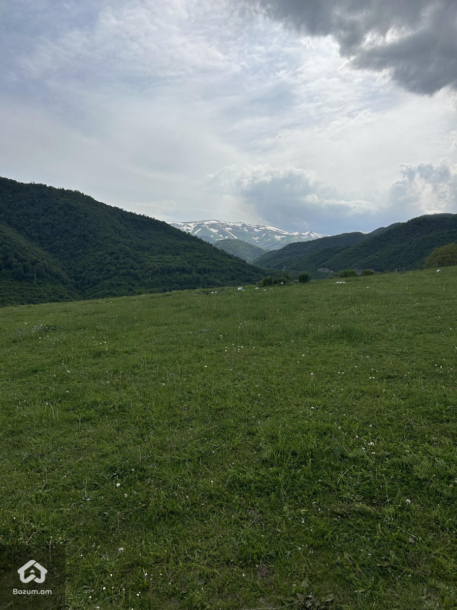 հող հողամաս Դիլիջան - image 4