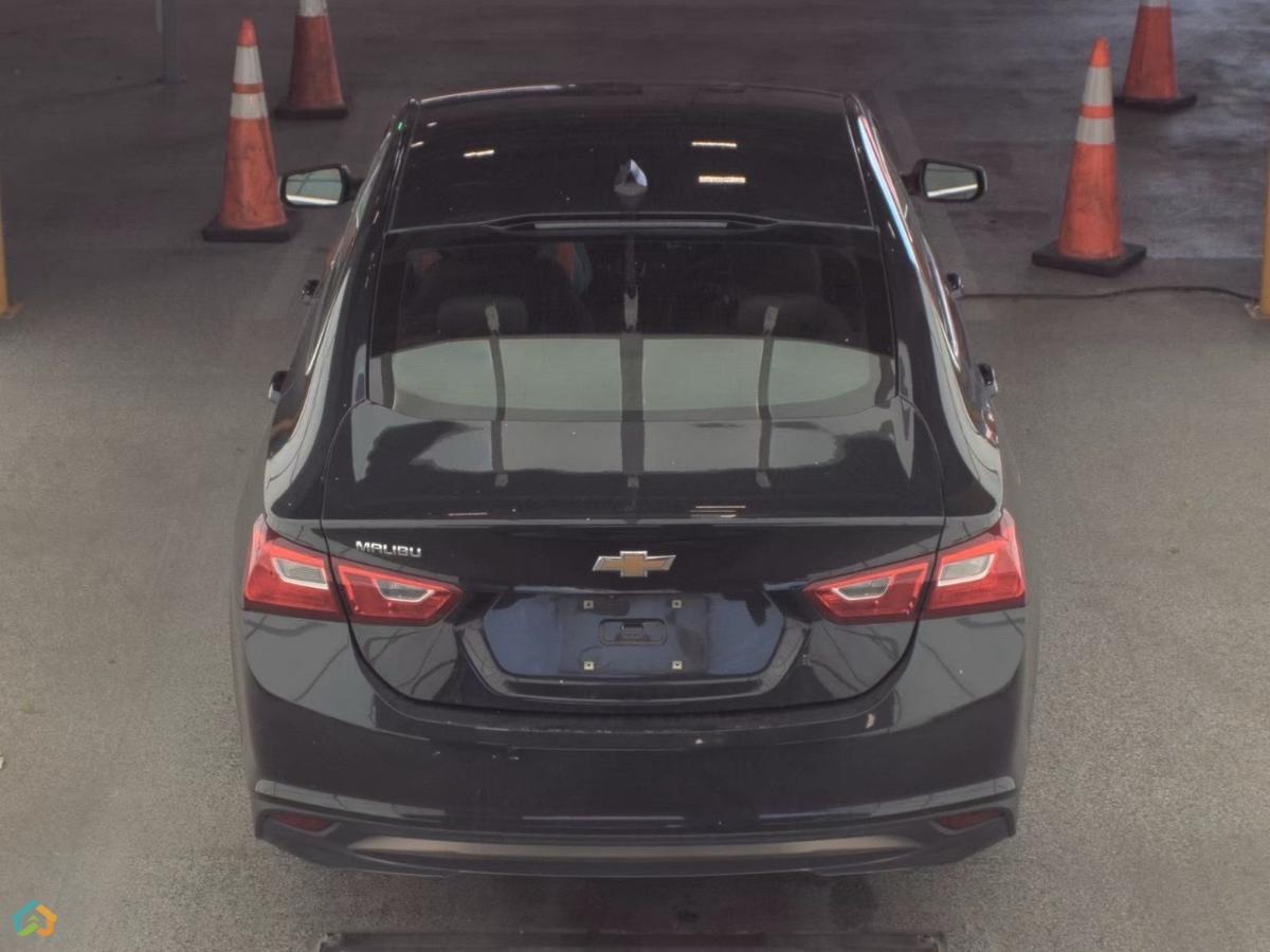 💥MALIBU 2023 💥 - image 2