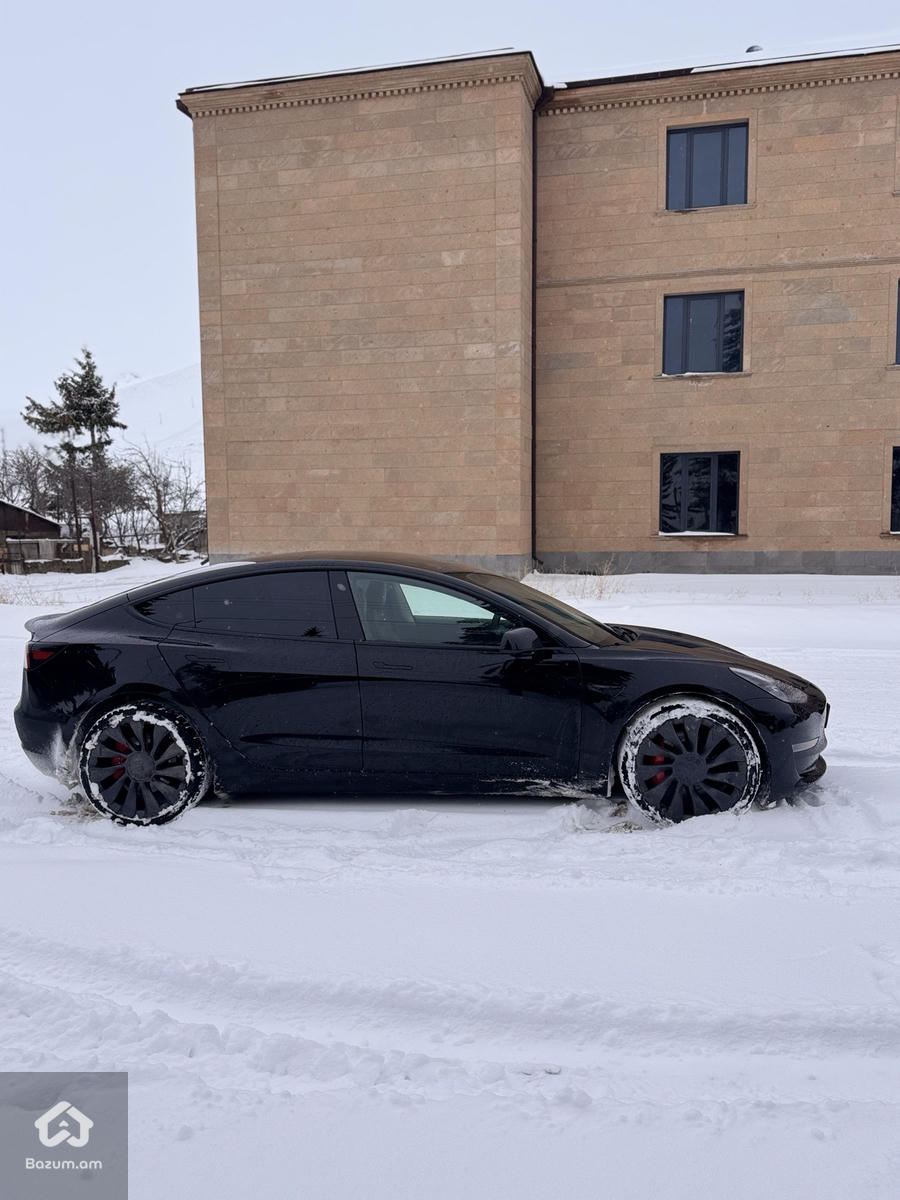 PERFORMANCE  - image 6