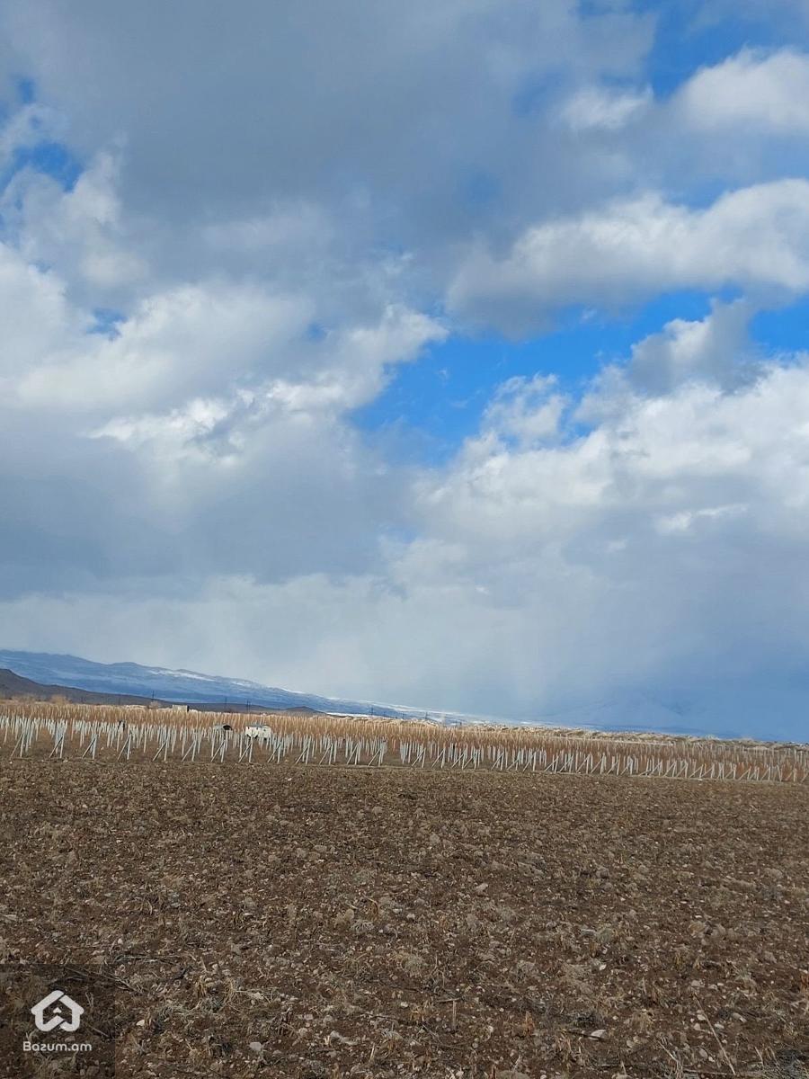 Գյուղնշանակության - image 3
