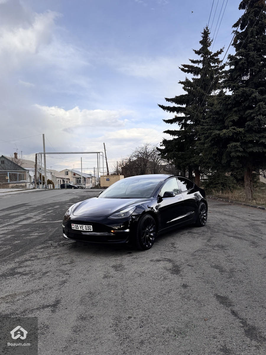 PERFORMANCE  - image 7