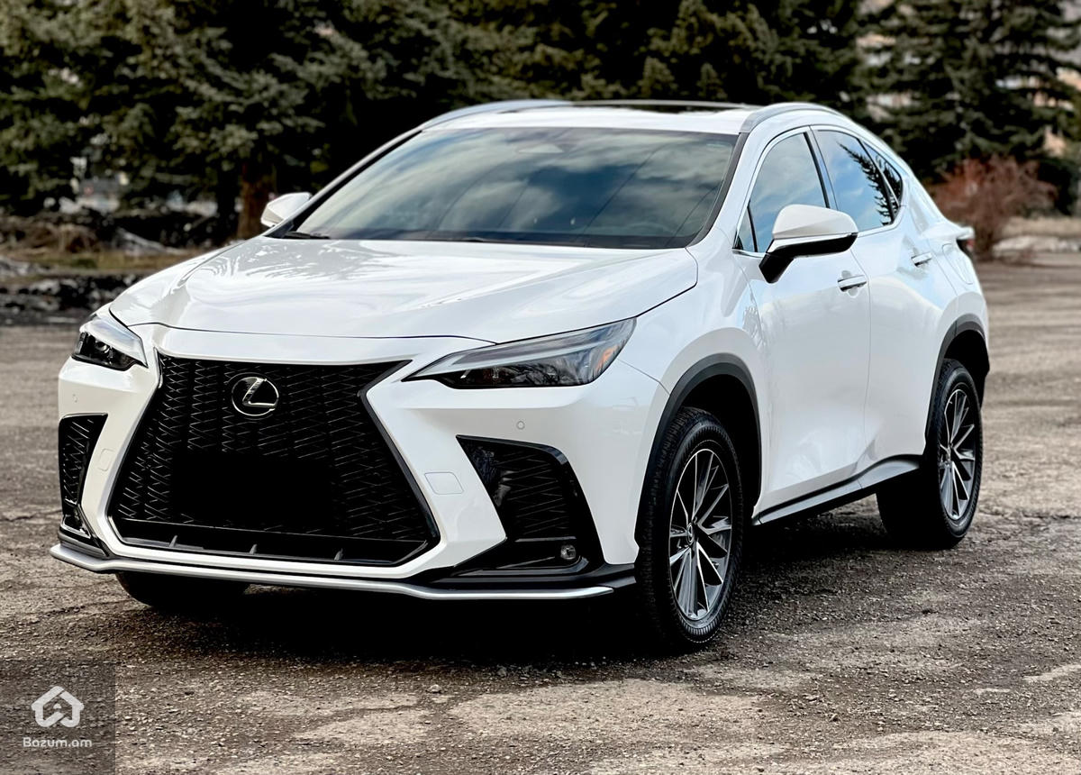 LEXUS NX - image 4