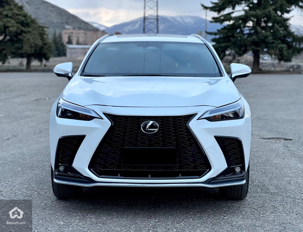Lexus NX350 Luxury - image 2