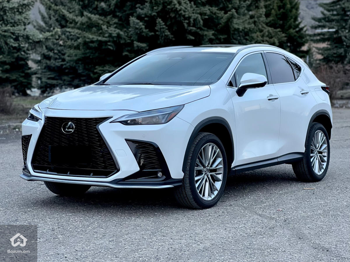 Lexus NX350 Luxury - image 4