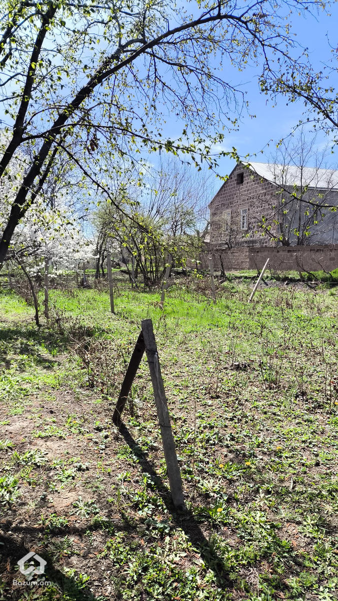 տնամերձ հողատարածք  - image 4