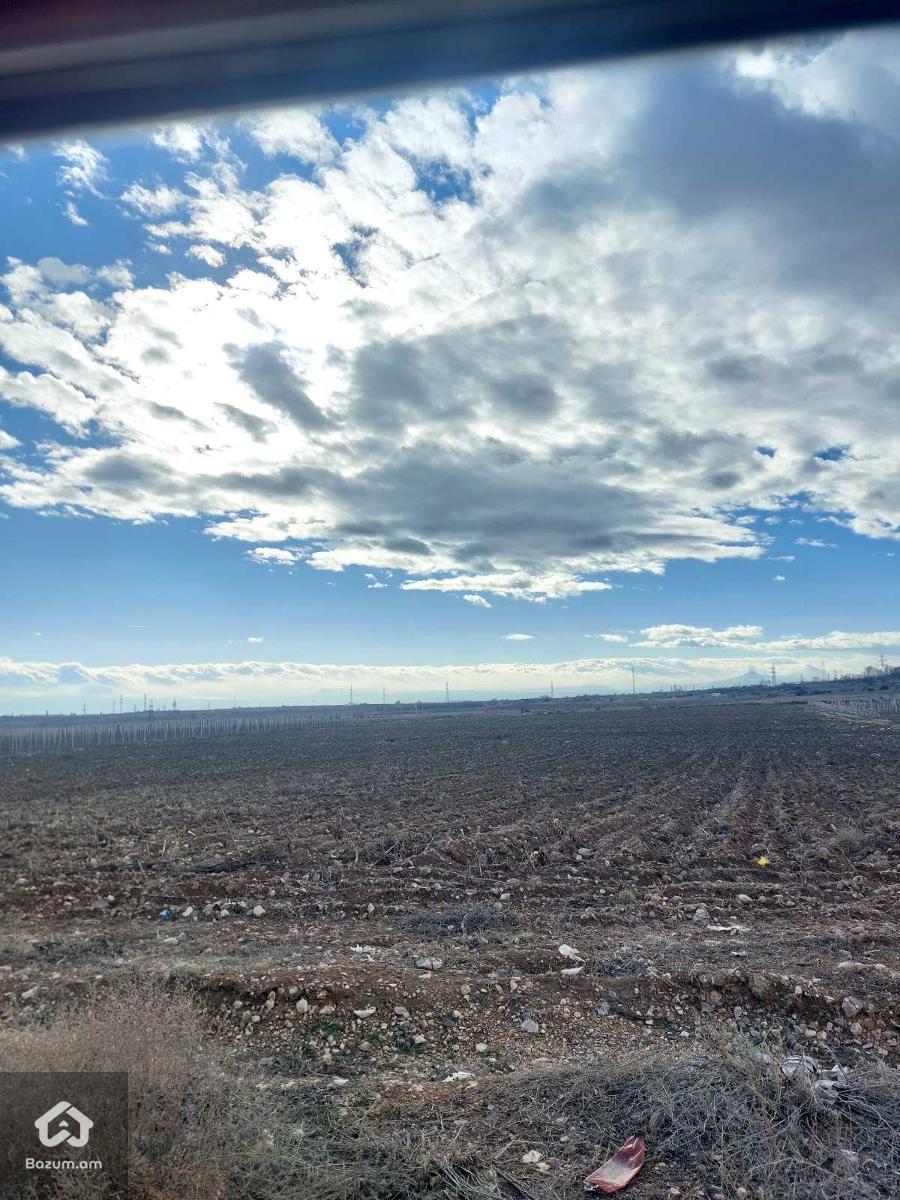 Գյուղնշանակության - image 2