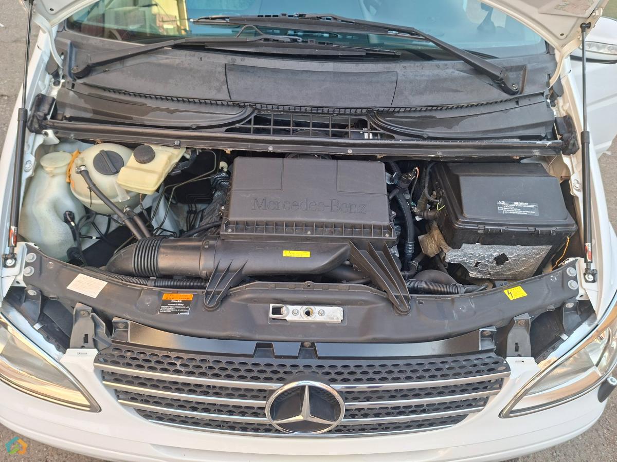 Viano Wald - image 7