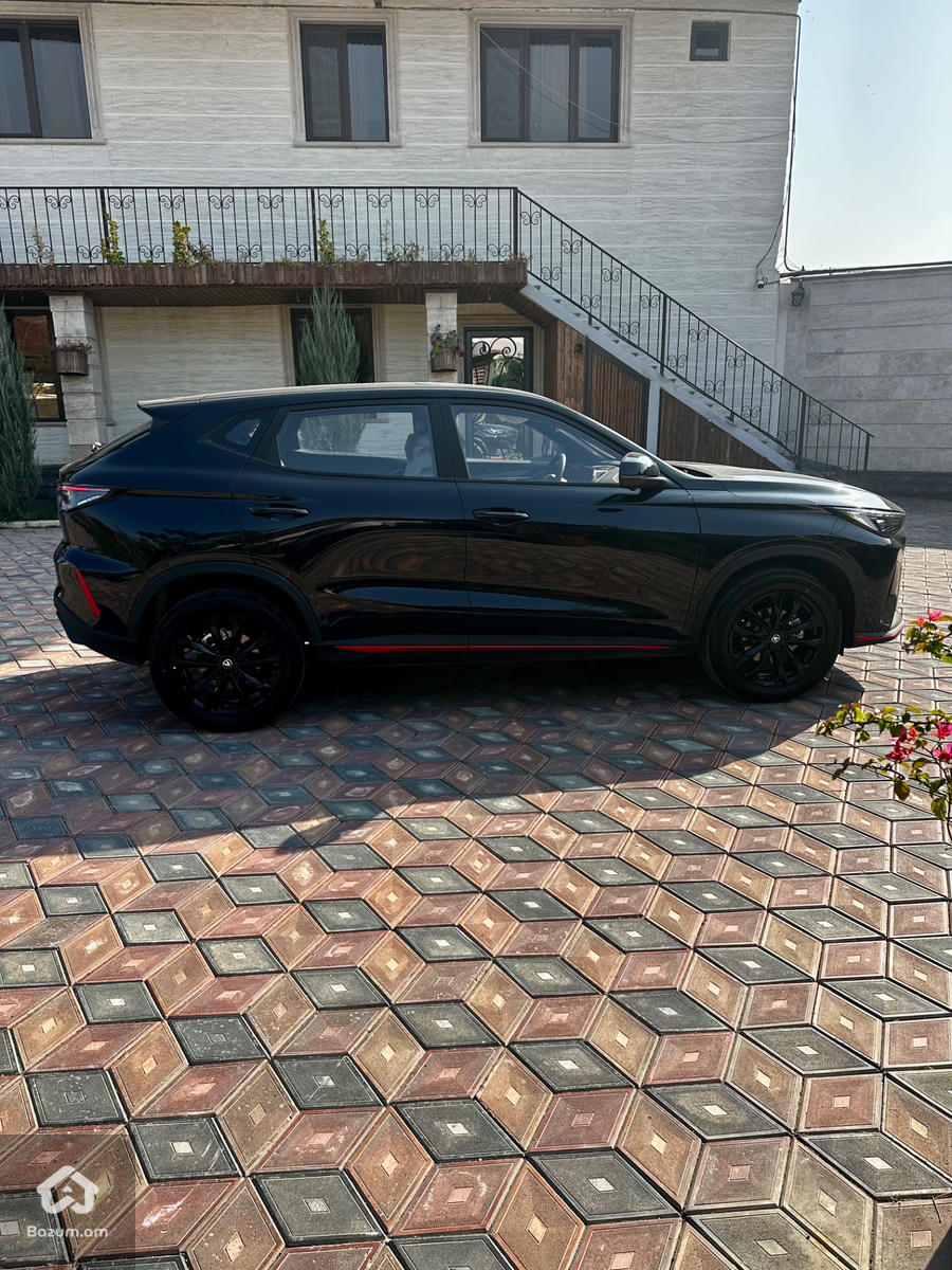 Changan - image 7