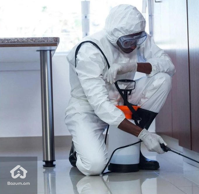 Պայքար առնետների դեմ  - image 2