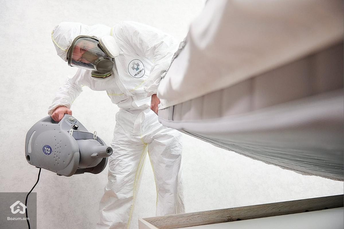 Ախտահանում, միջատների ոչնչացում 