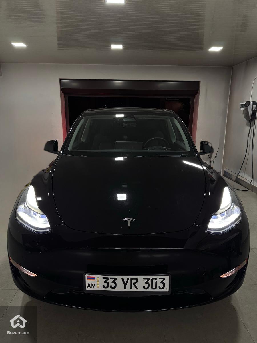 Tesla Model Y - image 1
