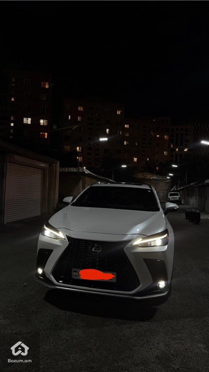 Lexus nx350 2.4 turbo - image 10