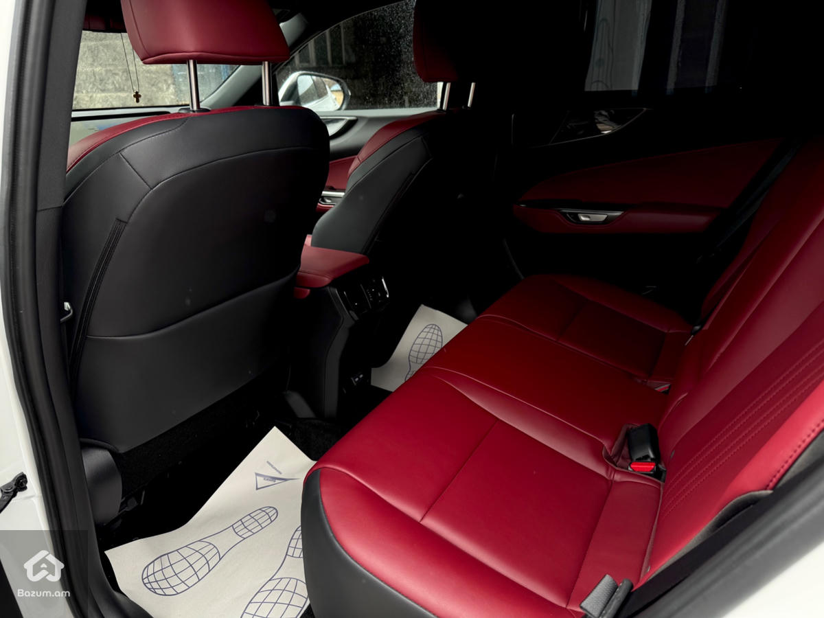 Lexus NX350 Luxury  - image 14