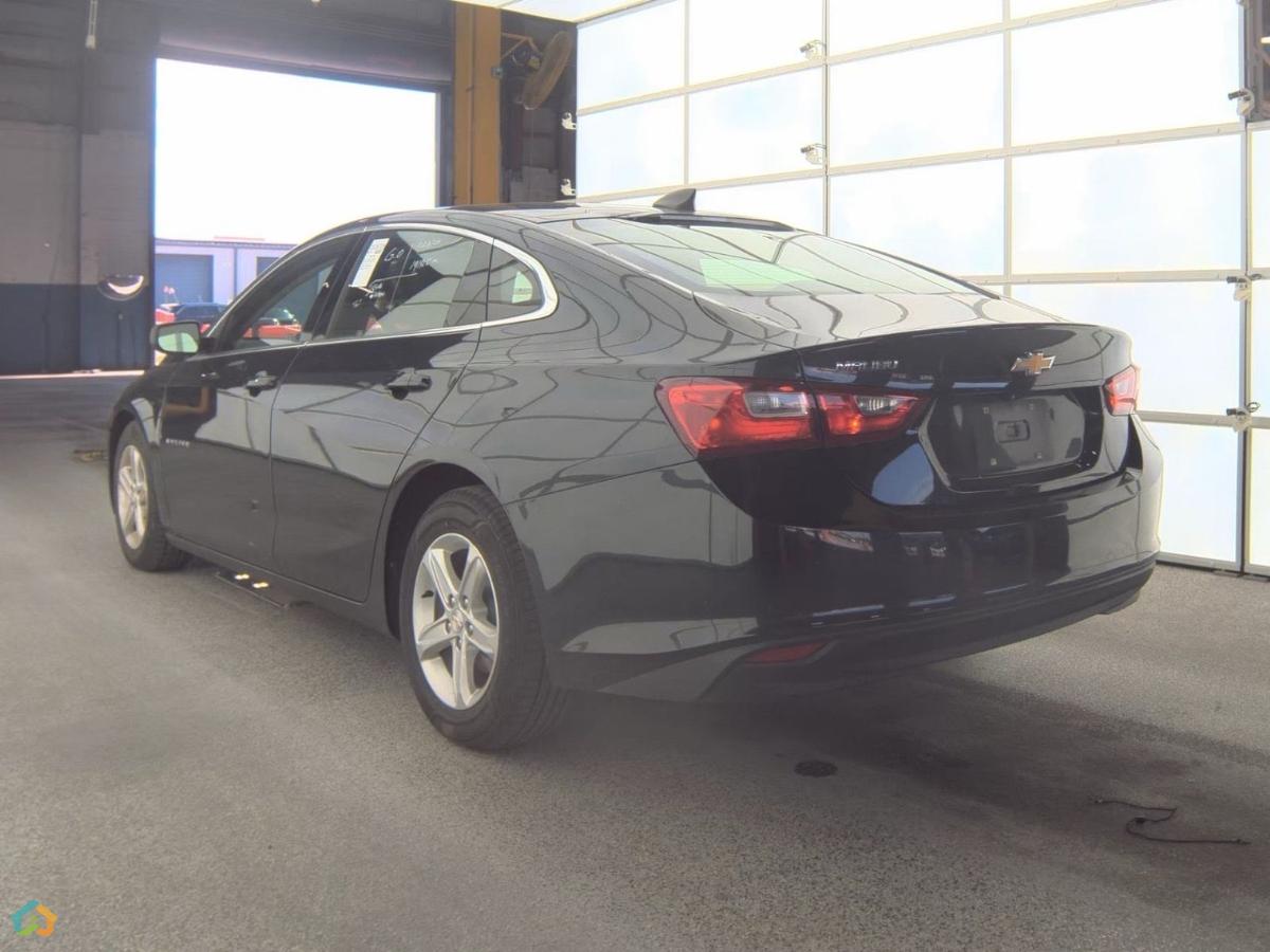 💥MALIBU 2023 💥 - image 6