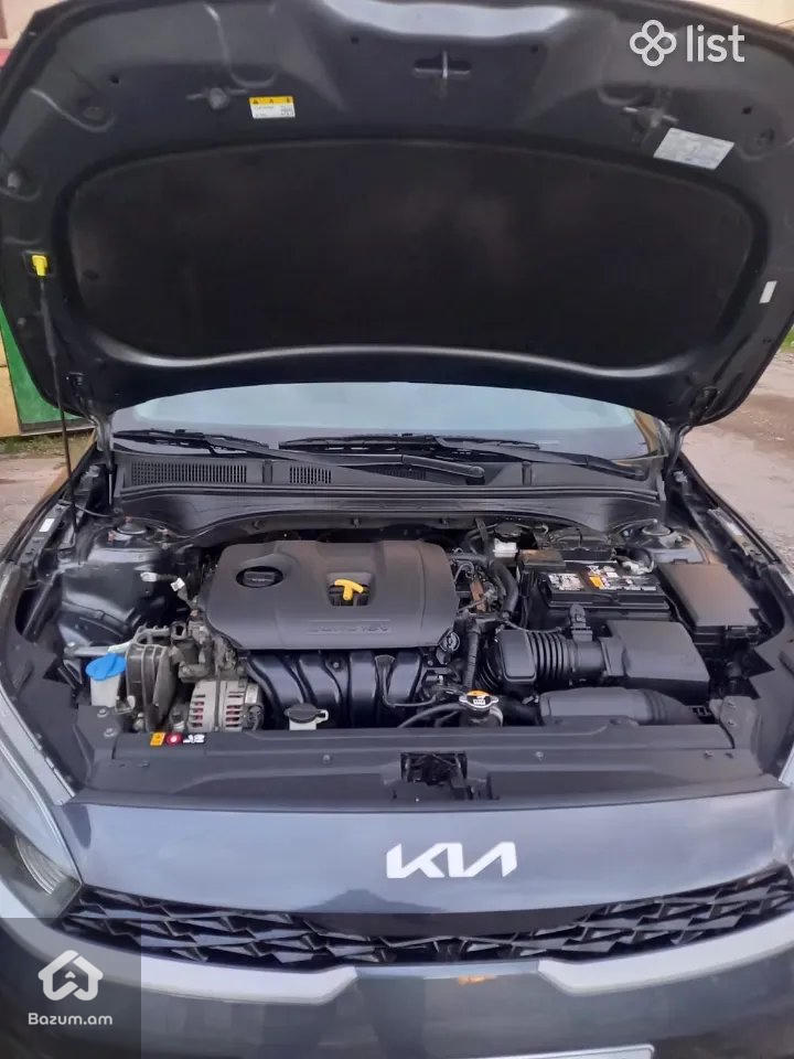 Kia Forte - image 3
