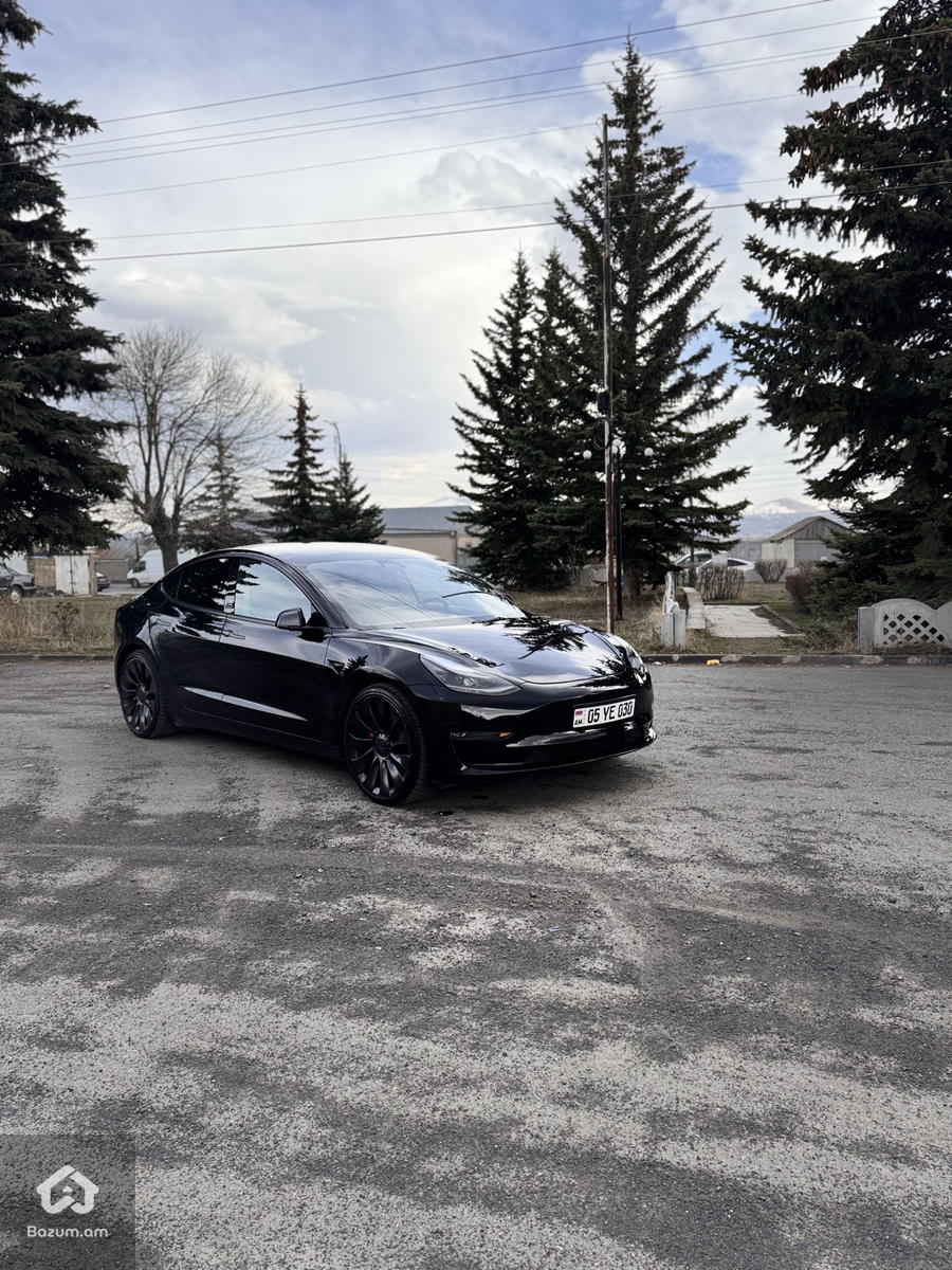 PERFORMANCE  - image 6