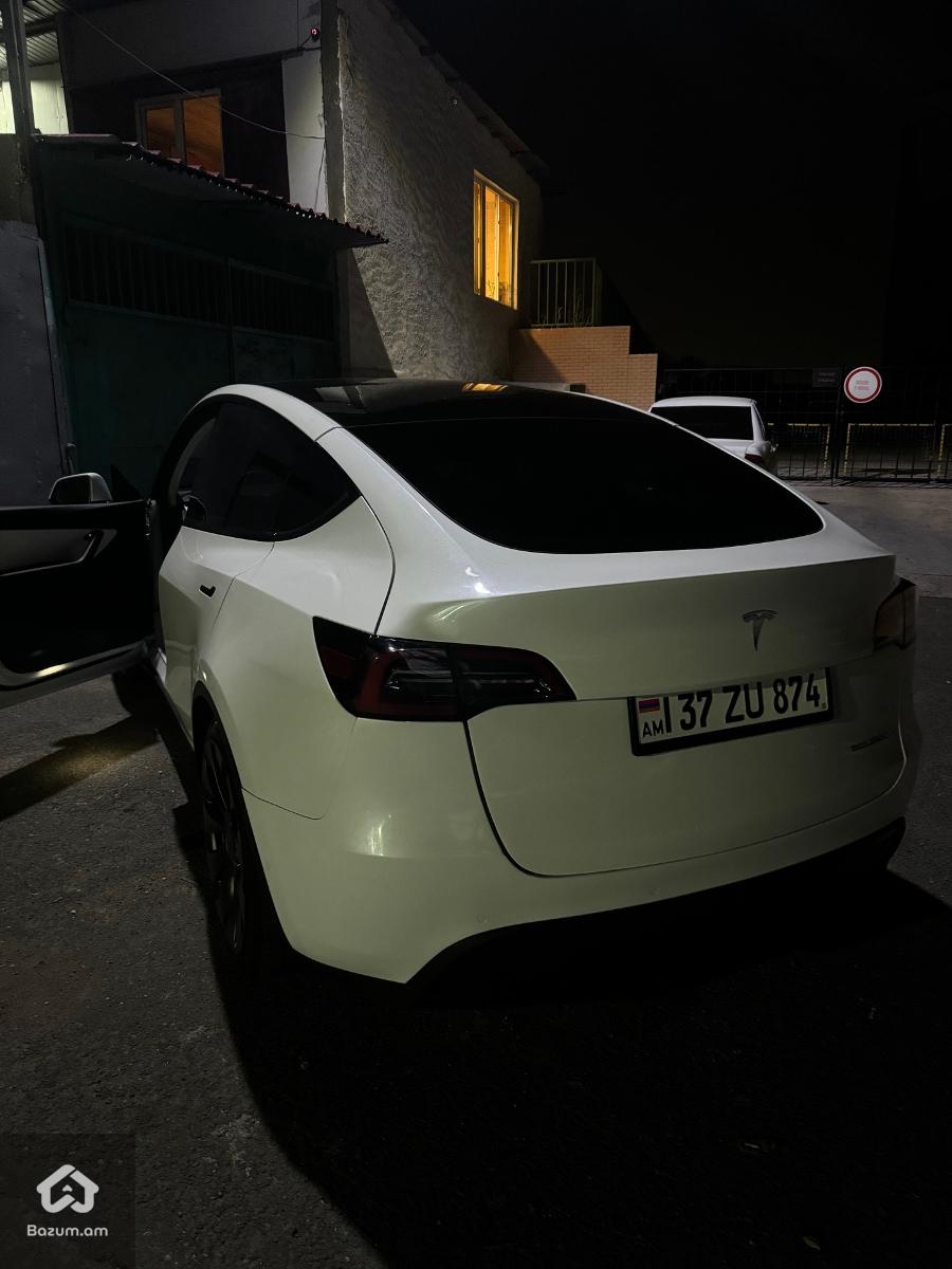 TESLA Y PERFORMANCE - image 3