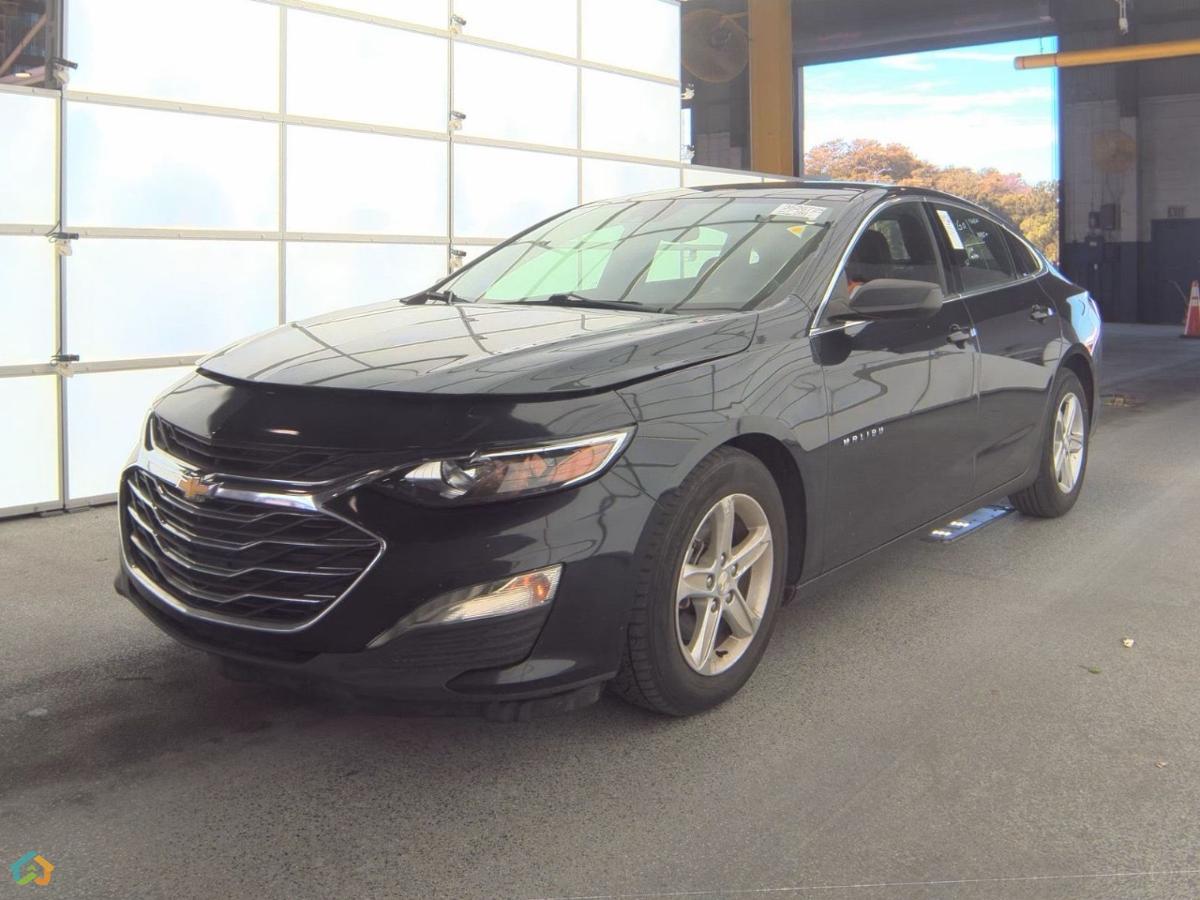 💥MALIBU 2023 💥 - image 3