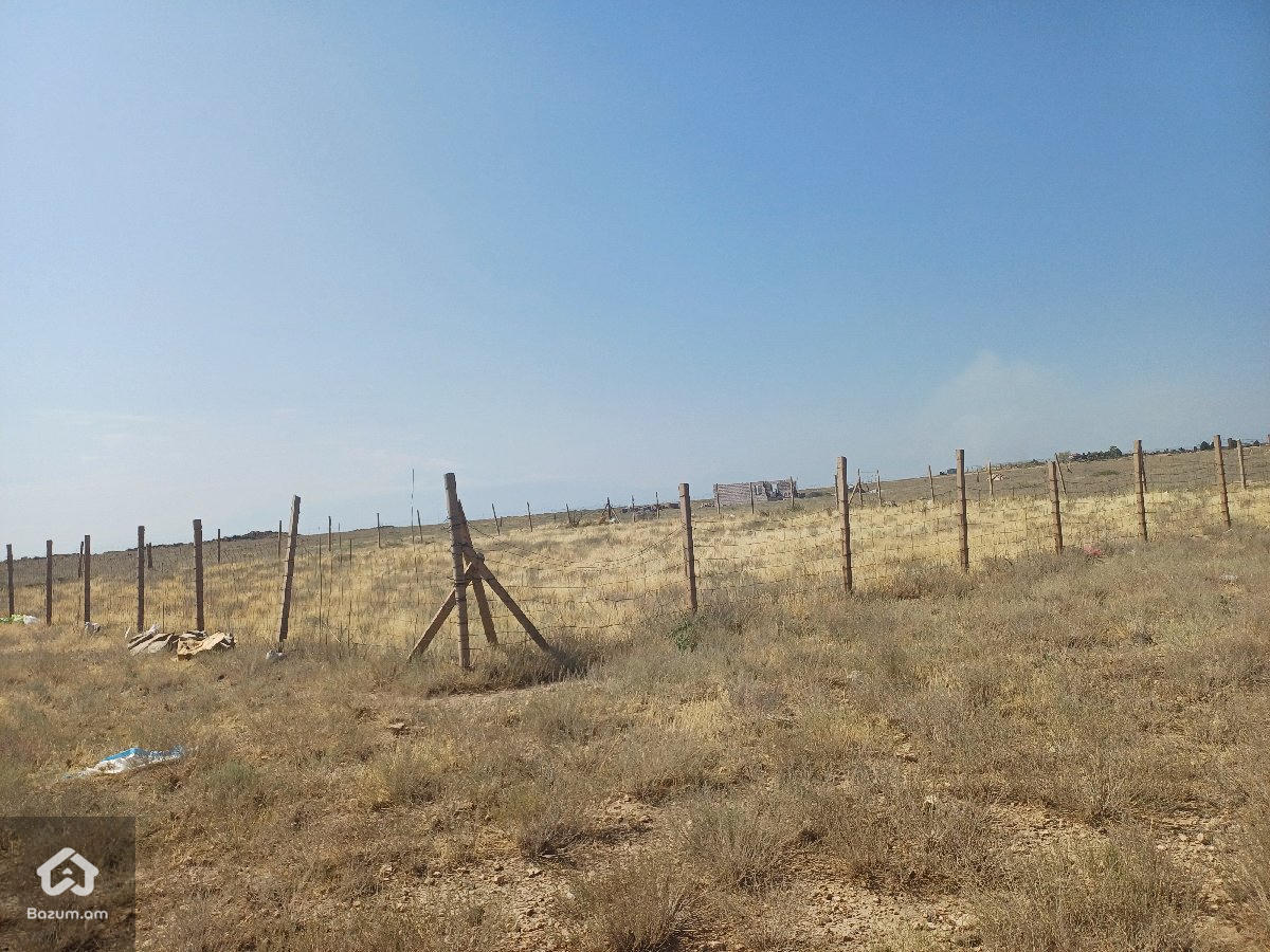 Տնամերձ հող - image 5