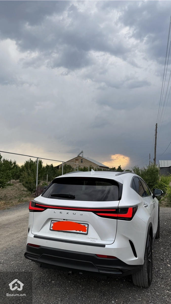 Lexus nx350 2.4 turbo - image 9