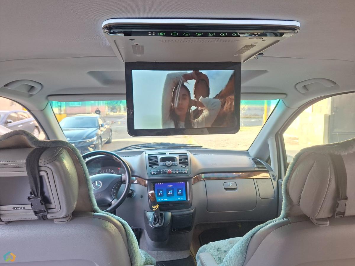 Viano Wald - image 13