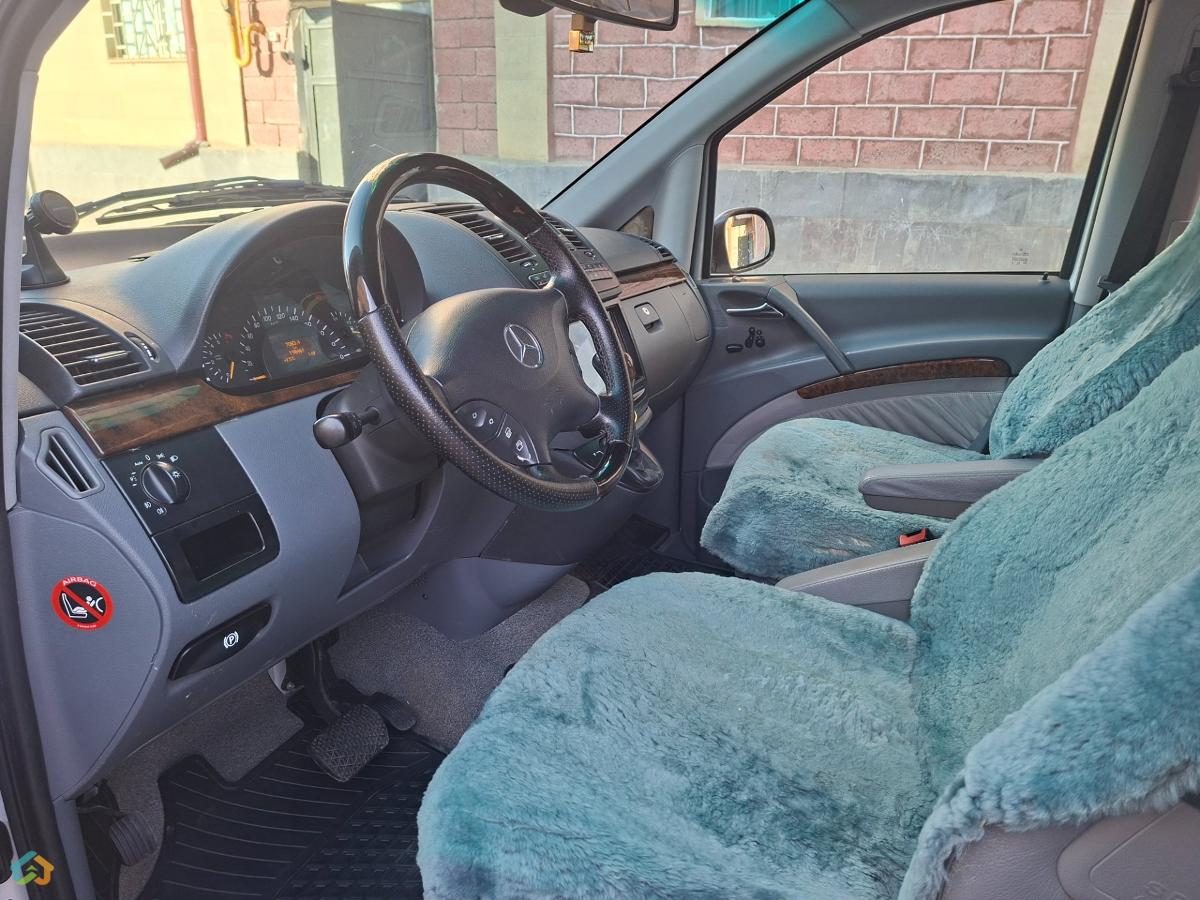 Viano Wald - image 15