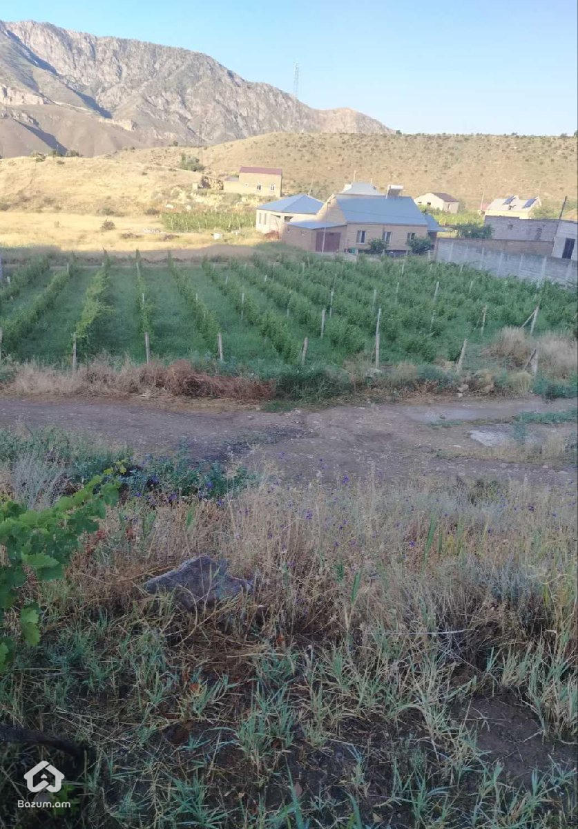 Տնամերձ հողատարածք  - image 3