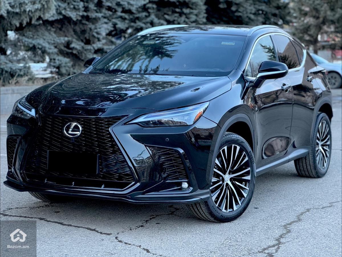 Lexus - image 1