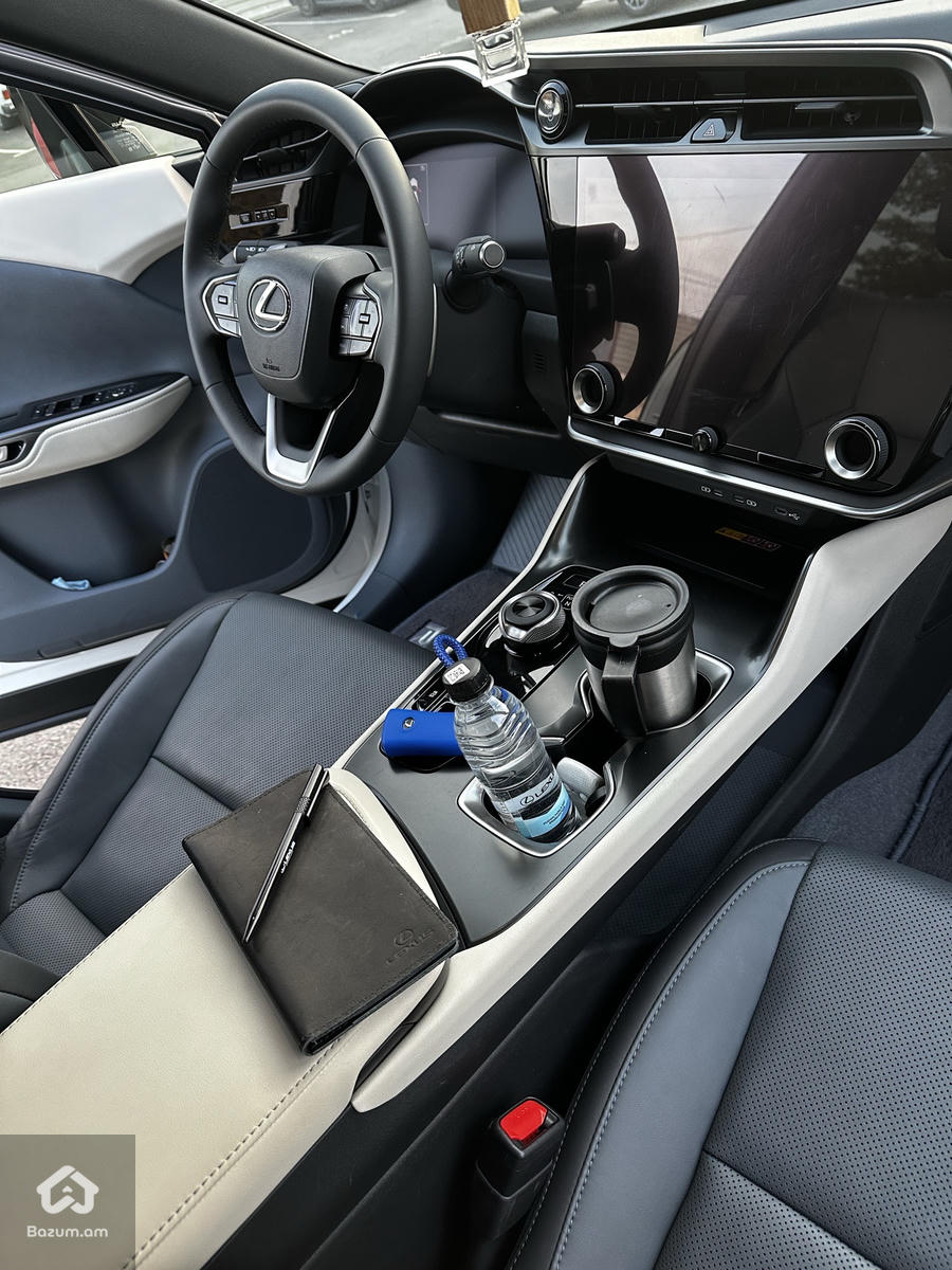 Lexus RZ - image 4