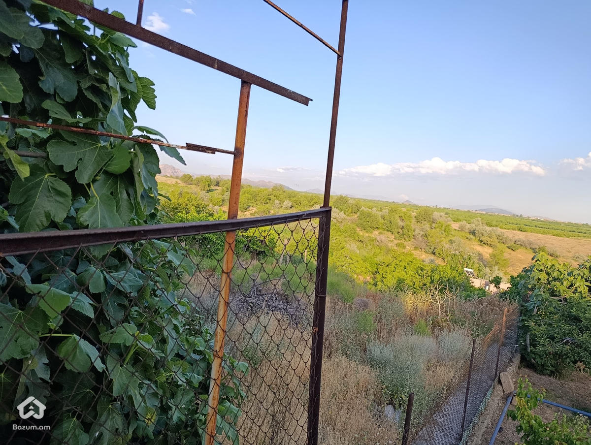 Տնամերձ Հողամաս - image 3