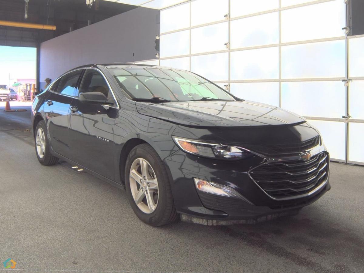 💥MALIBU 2023 💥 - image 4