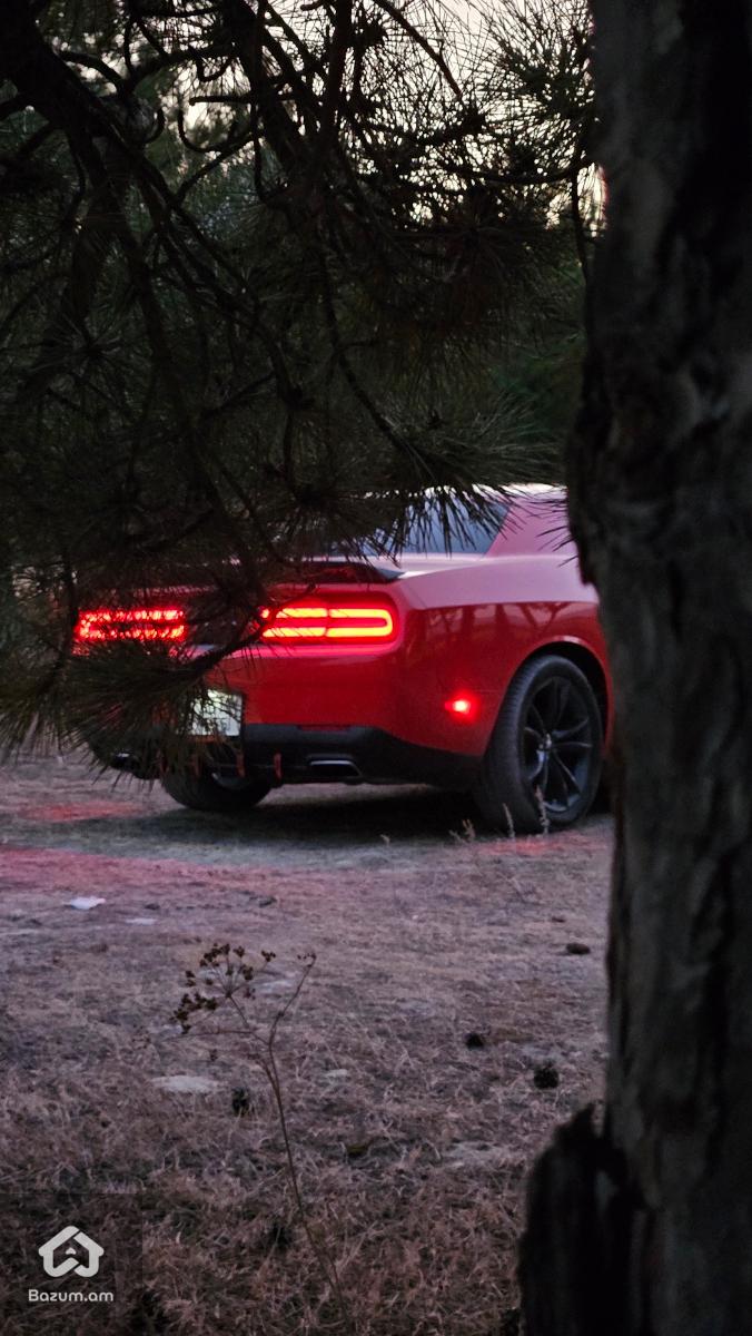 Dodge Challenger  - image 11