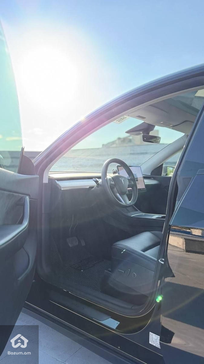 tesla - image 6