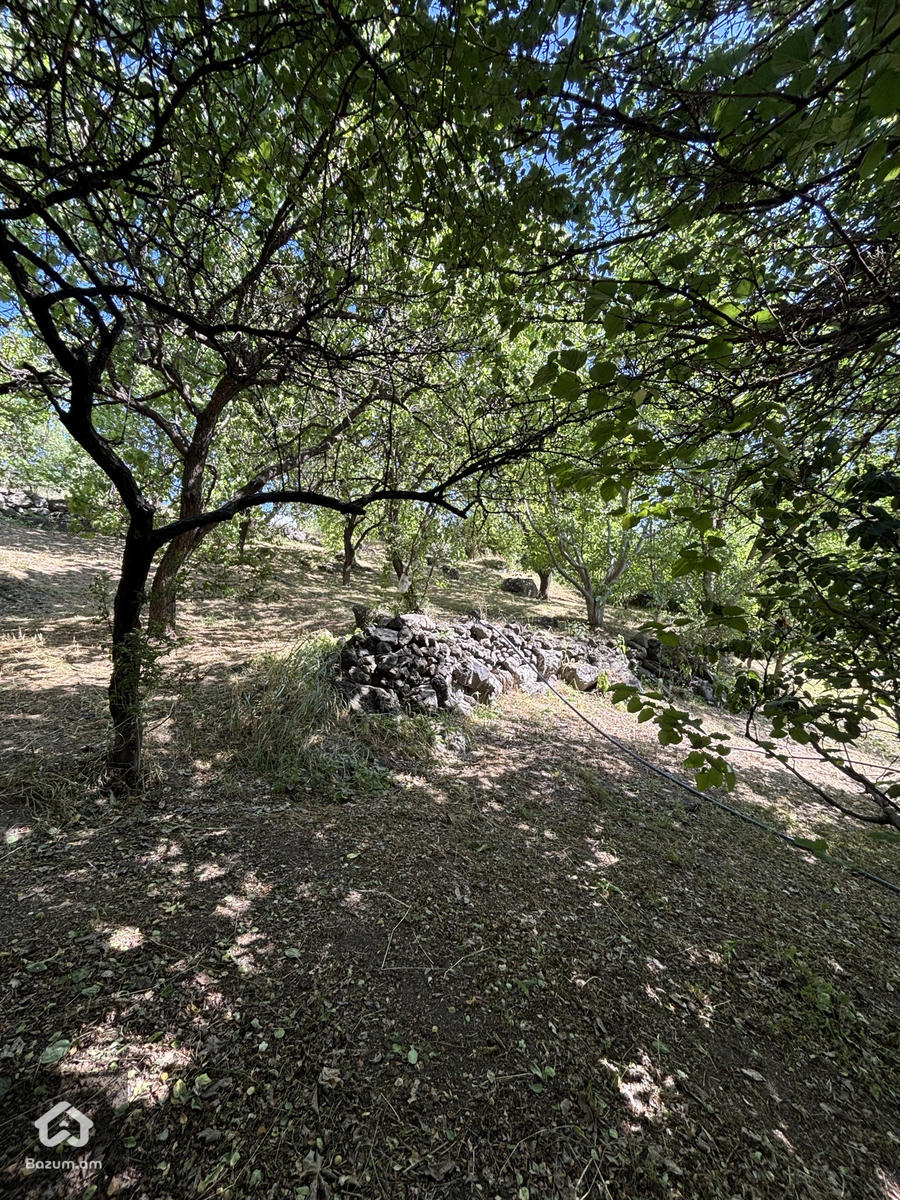 Տնամերձ - image 5