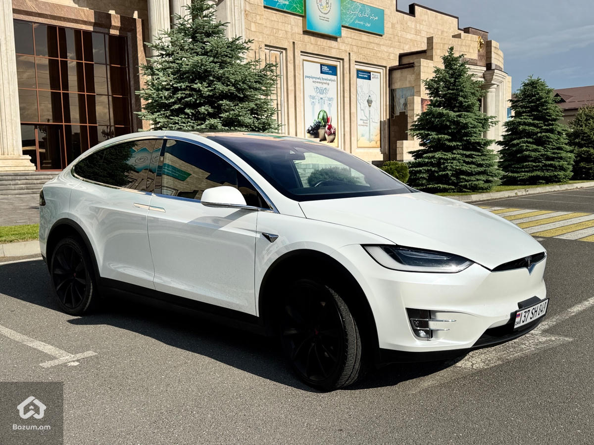 Tesla Model X 100D - image 9