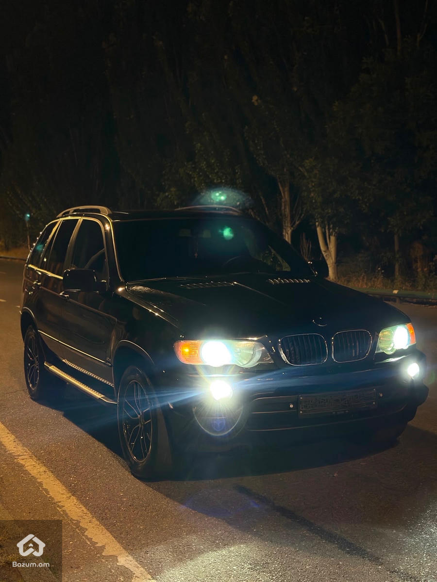 BMW X5 E53 - image 6