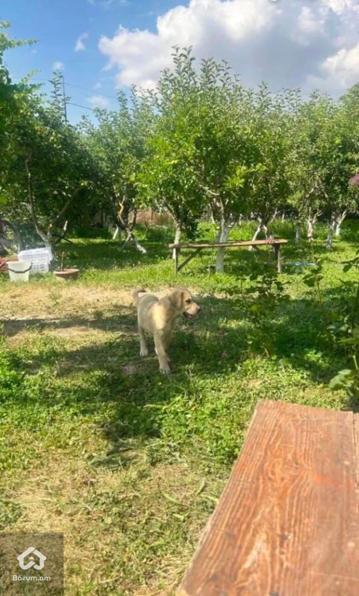 Բնակելի կառուցապատման - image 4