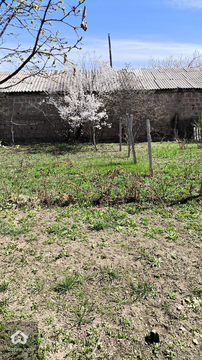 տնամերձ հողատարածք  - image 3