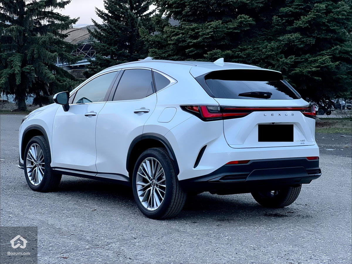 Lexus NX350 Luxury - image 8