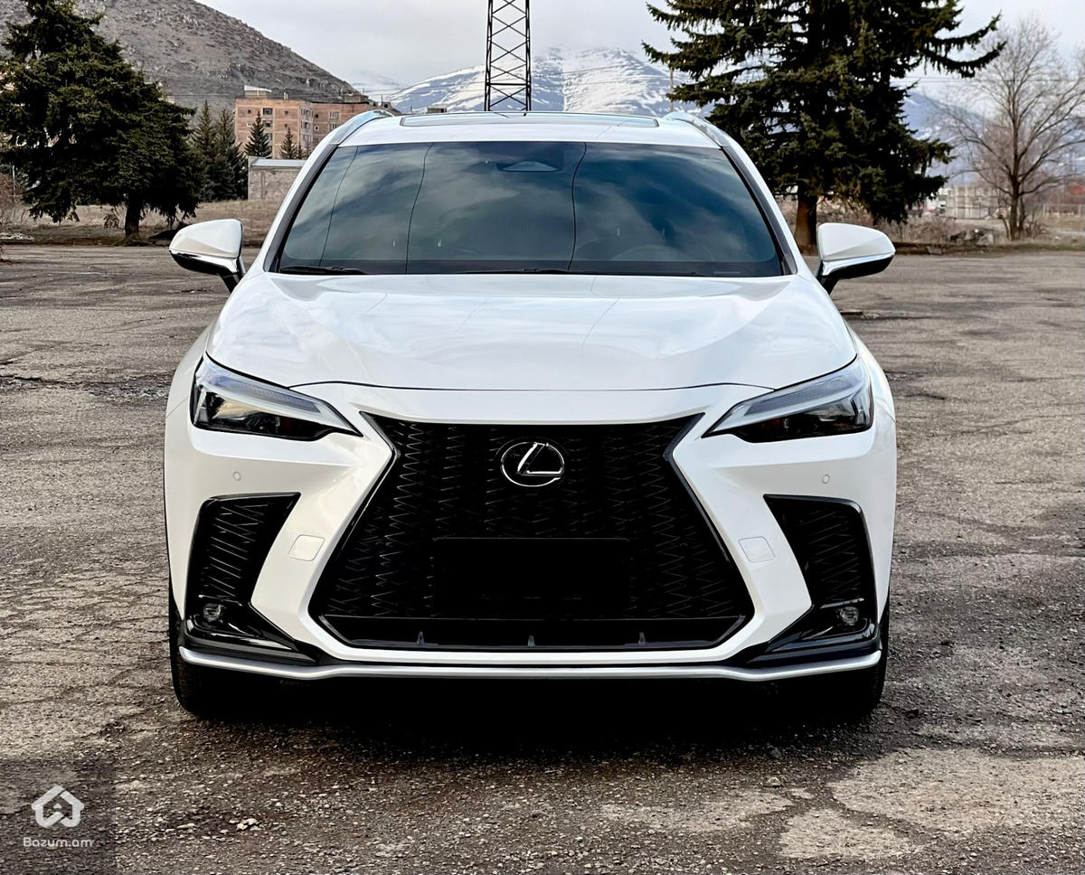 LEXUS NX - image 2