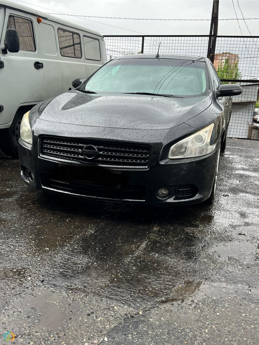 Nissan Maxima  - image 6