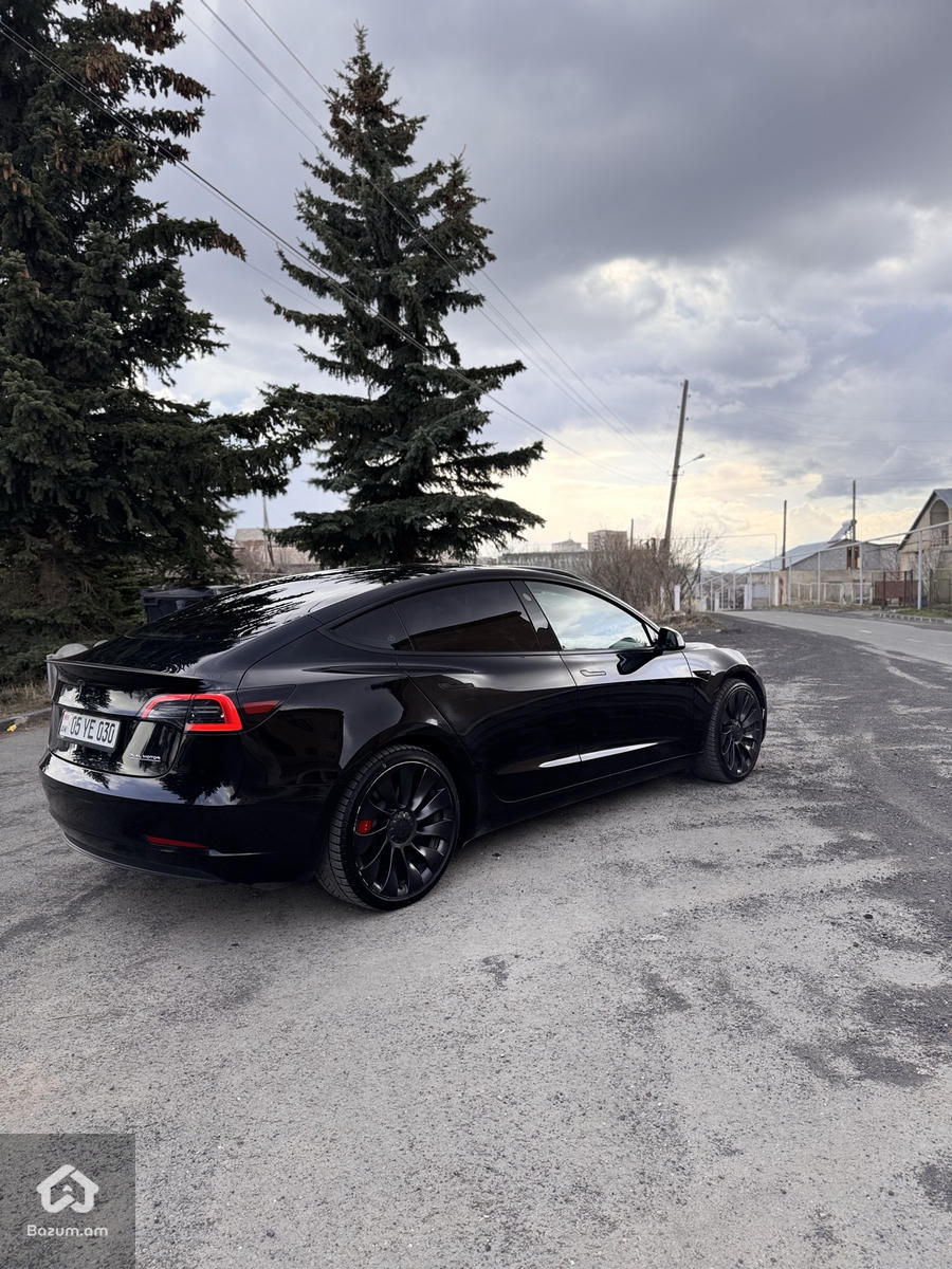 PERFORMANCE  - image 4