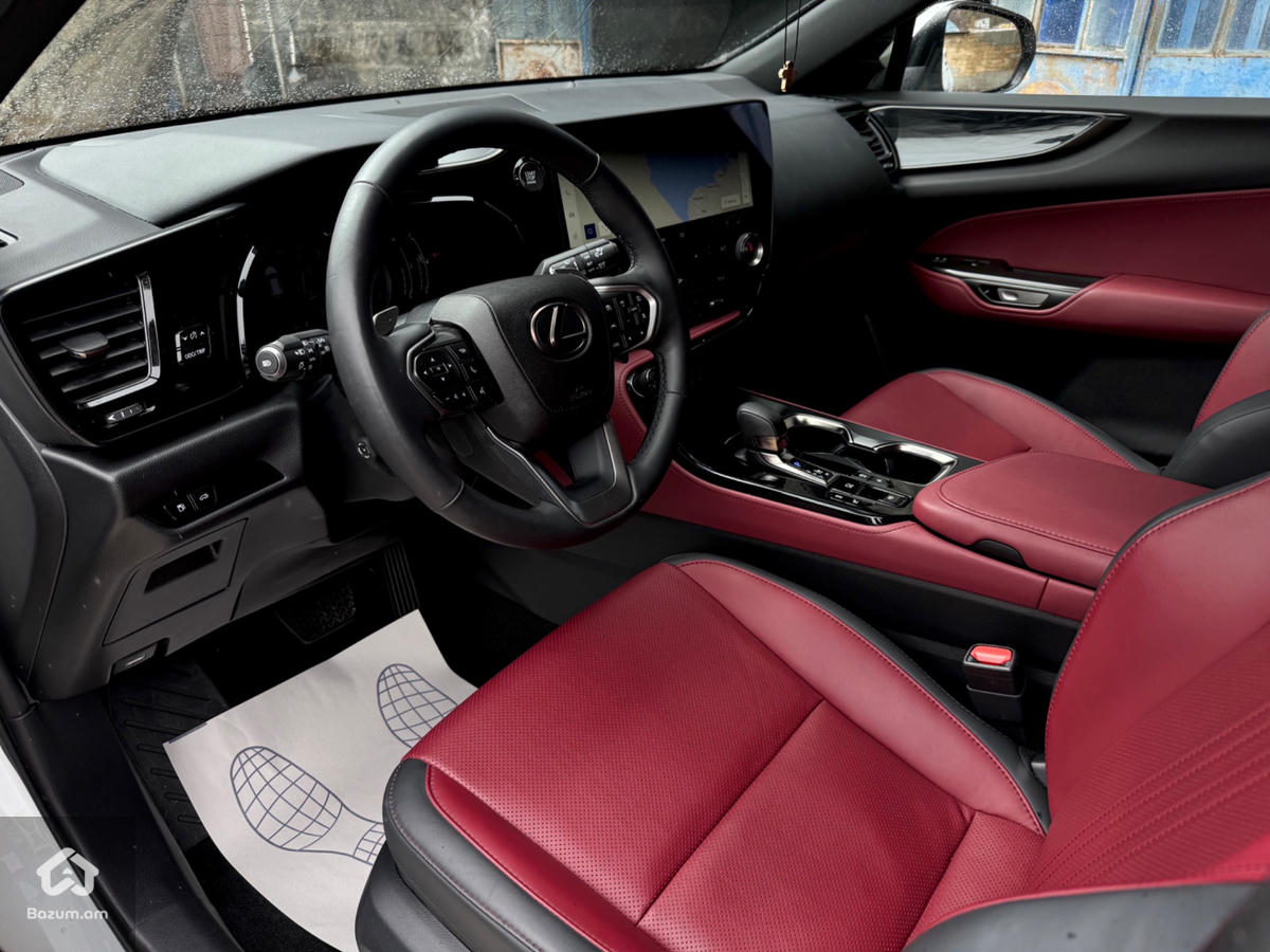 Lexus NX350 Luxury  - image 10