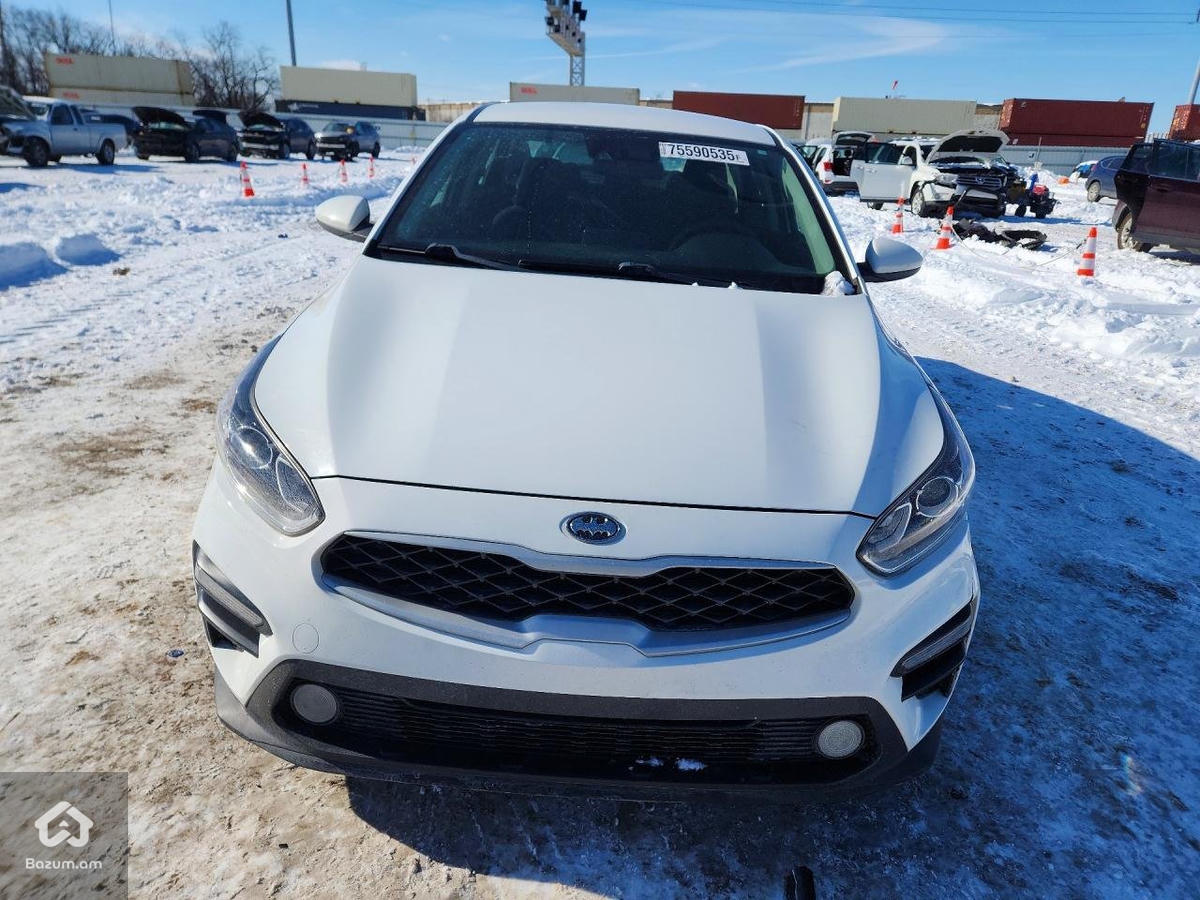 Vajarvum e - image 5