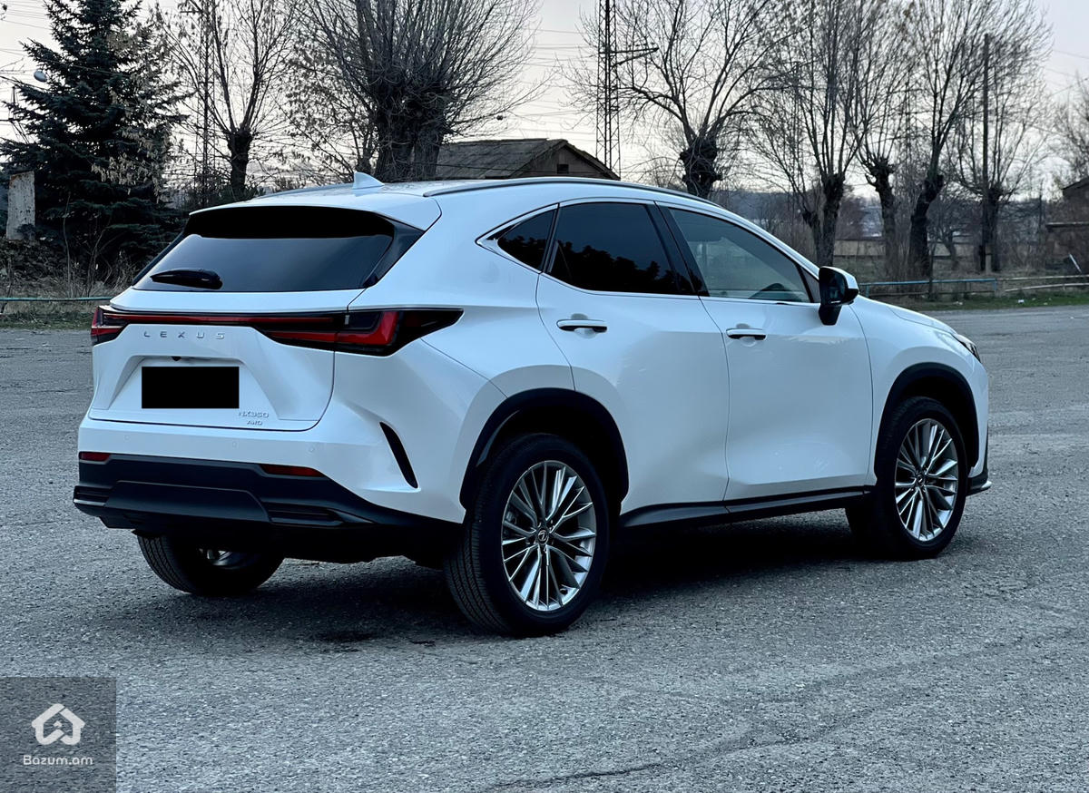 Lexus NX350 Luxury - image 6