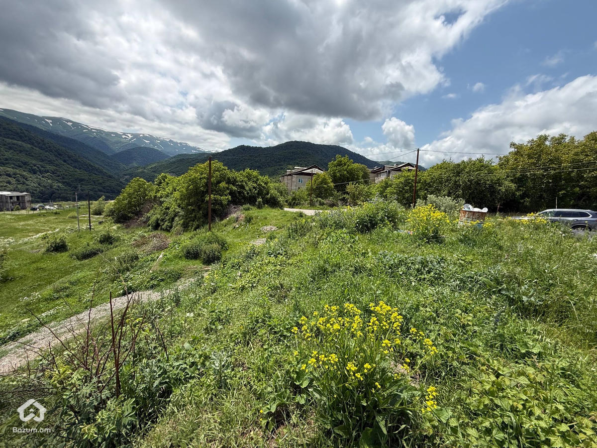 Հասարակական Հողատարածք - image 7