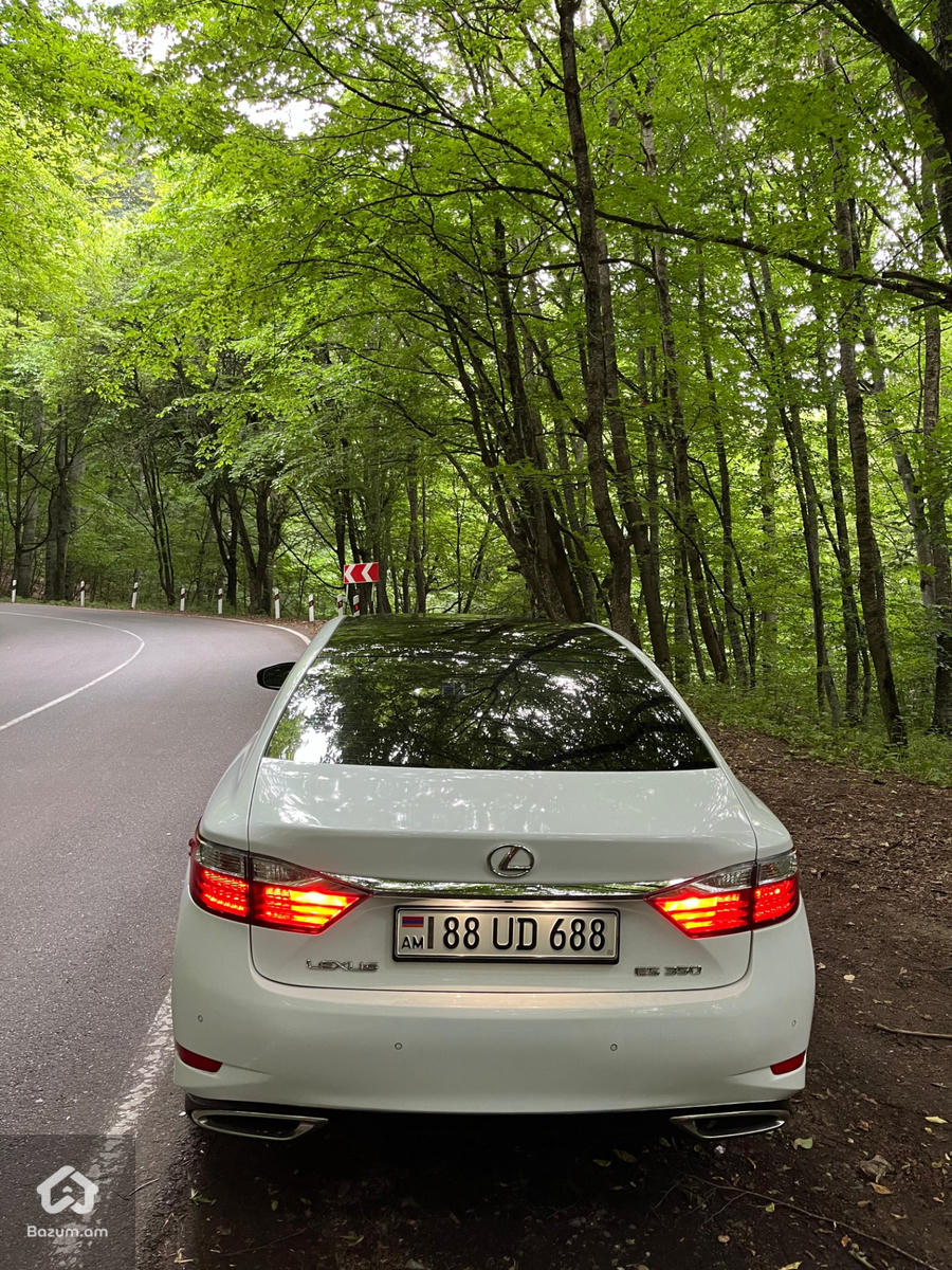 Lexus - image 16