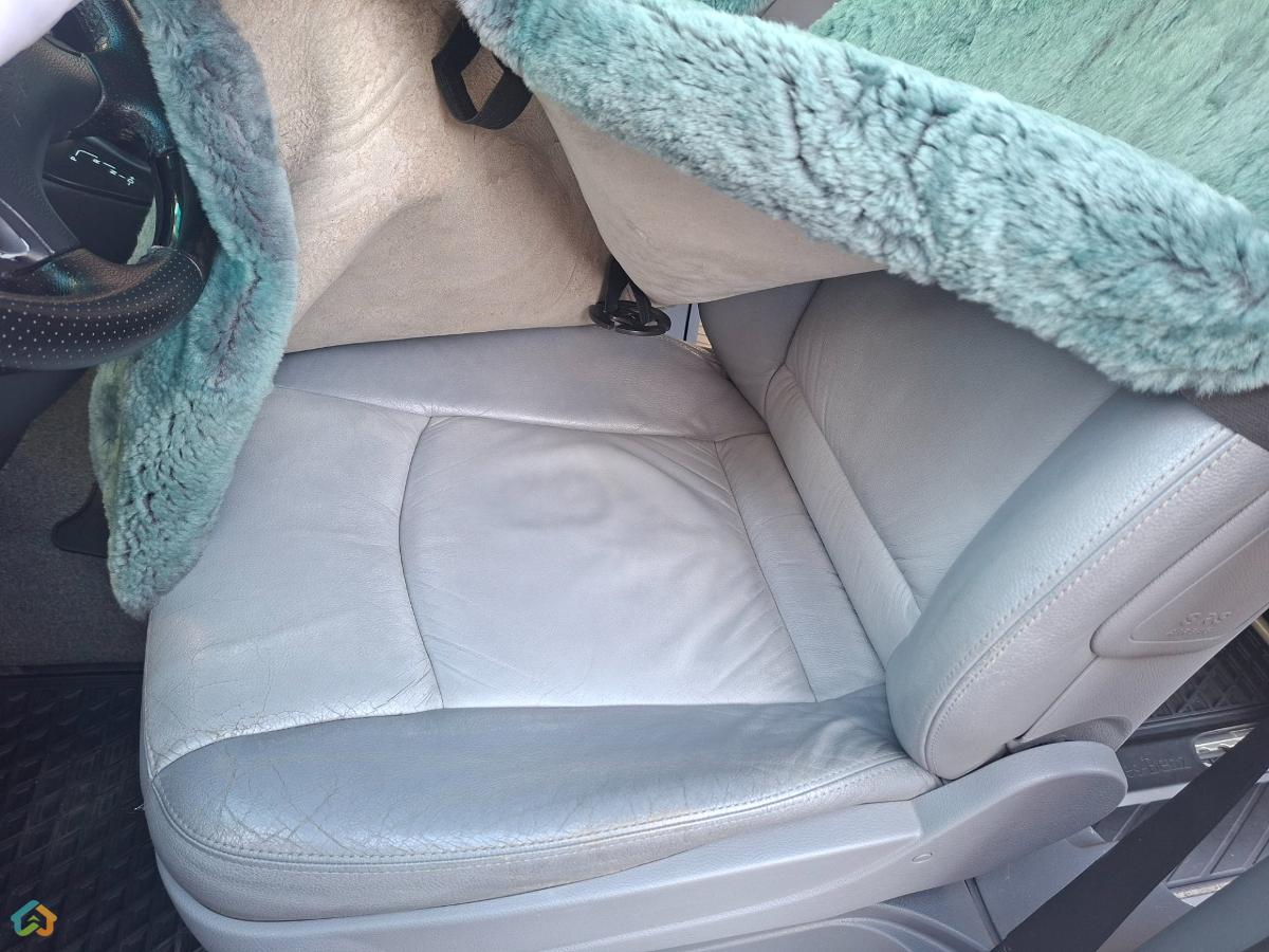 Viano Wald - image 14