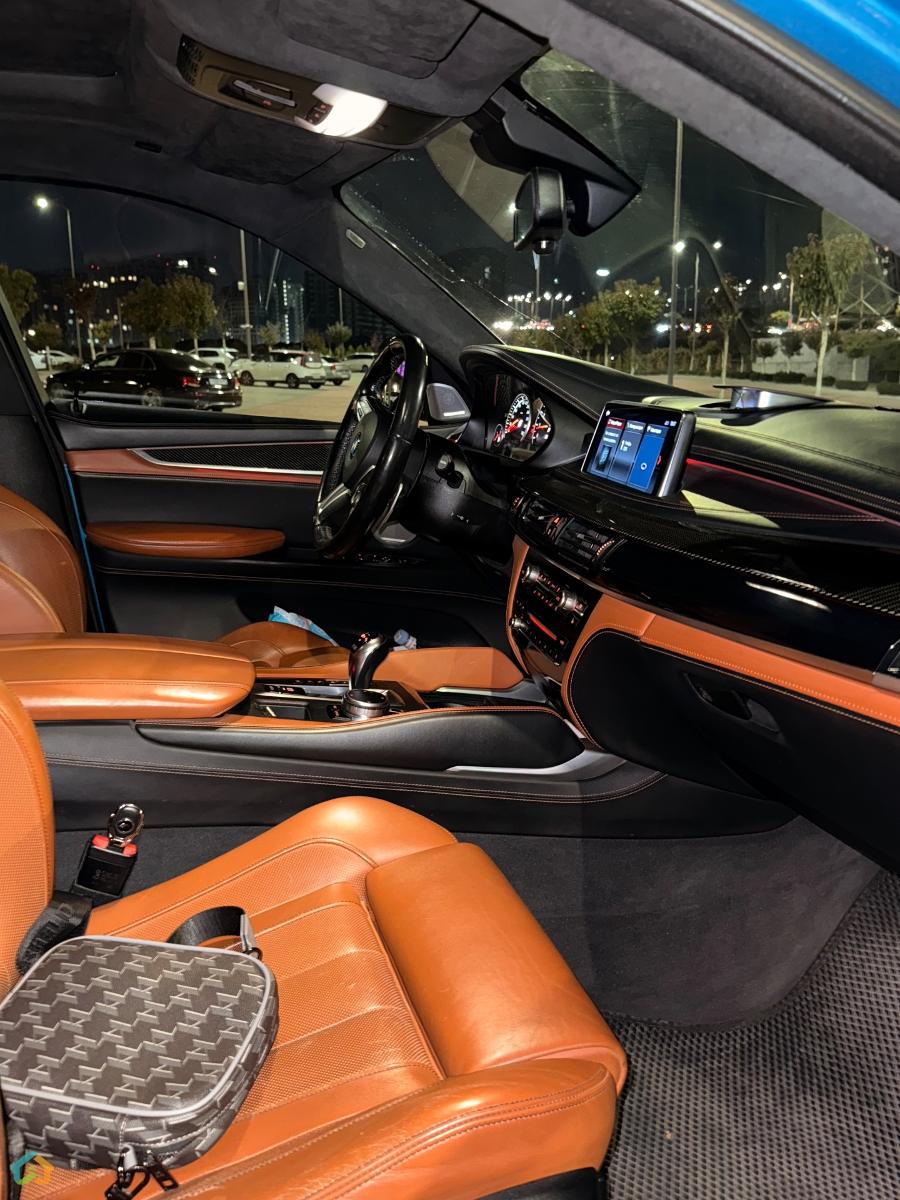 Bmw X6M - image 8